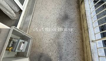 10 CH7285 Nees Photo.jpg